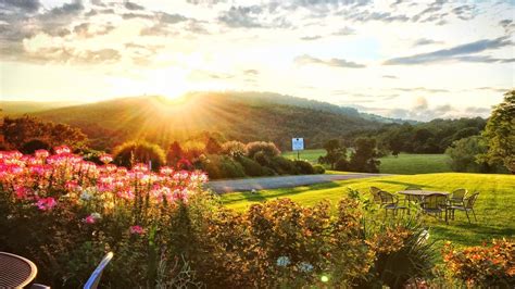 burberry virginia wineries jefferson|jefferson winery monticello va.